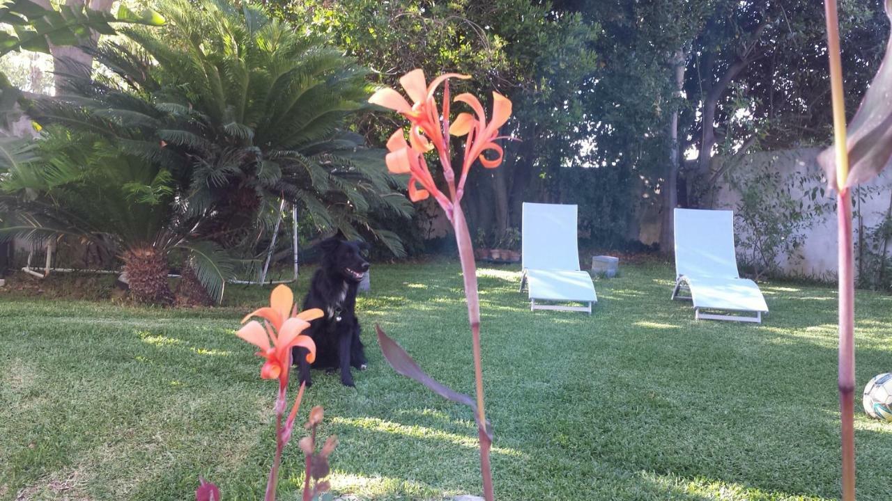 A Casa Di Marley Lejlighed Lecce Eksteriør billede
